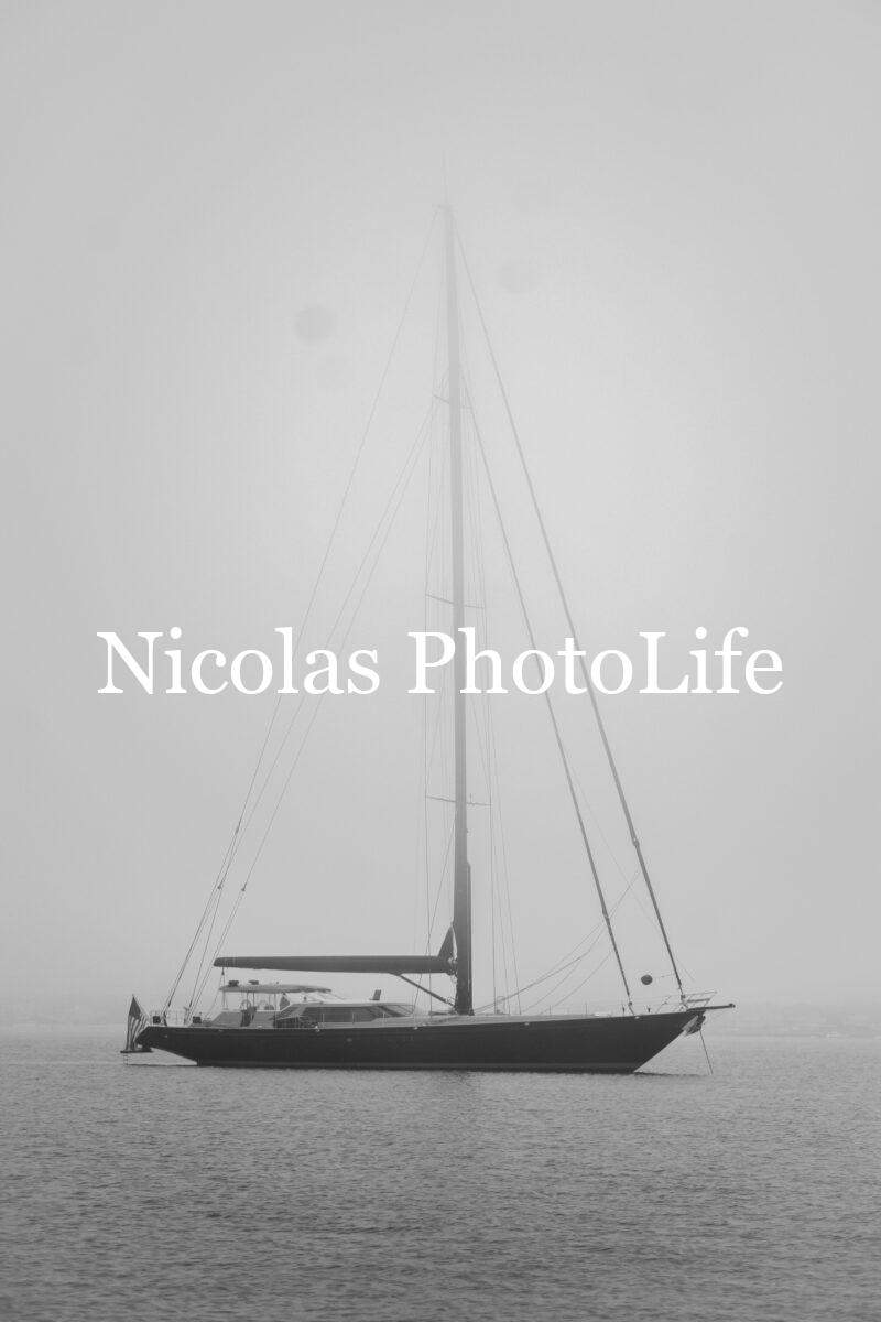 Mist & Mast