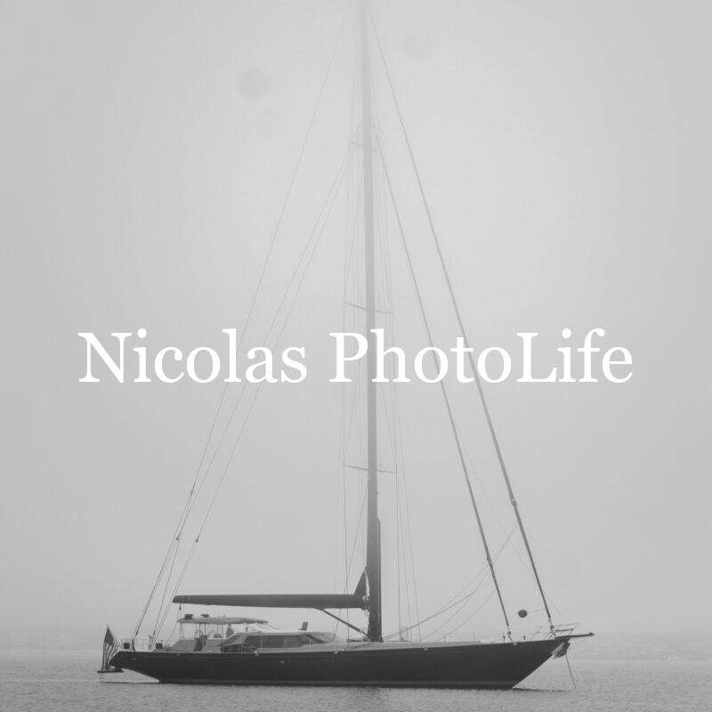 Mist & Mast